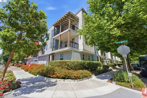 Other - 1661 Centre Pointe Dr, Milpitas, CA 95035 photo 10 of 13