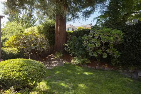 Exterior - 2909 Forest Ave, Berkeley, CA 94705 photo 10 of 18