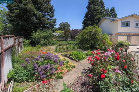 Exterior - 1193 Morrell, Concord, CA 94521 photo 8 of 10