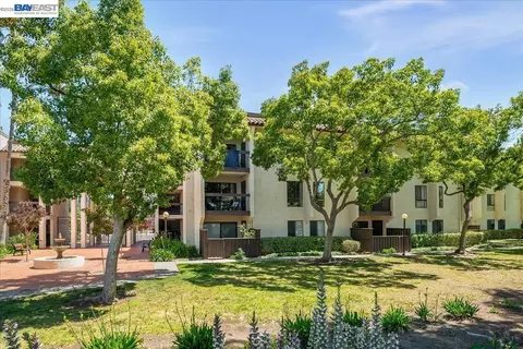 39865 Cedar Blvd #229, Newark, CA 94560