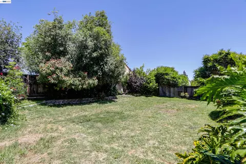 Other - 36276 Cedar Blvd, Newark, CA 94560 photo 9 of 30