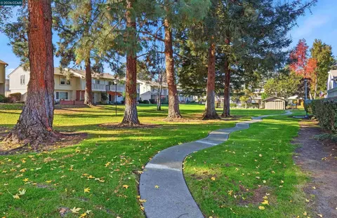 Exterior - 1819 Wildbrook Ct #C, Concord, CA 94521 photo 8 of 8