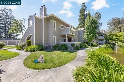 204 Norris Canyon Pl #D, San Ramon, CA 94583
