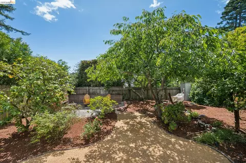 Exterior - 734 Keeler Ave, Berkeley, CA 94708 photo 6 of 10
