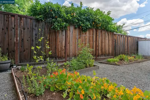 Exterior - 962 Oasis Dr, Concord, CA 94518 photo 9 of 9