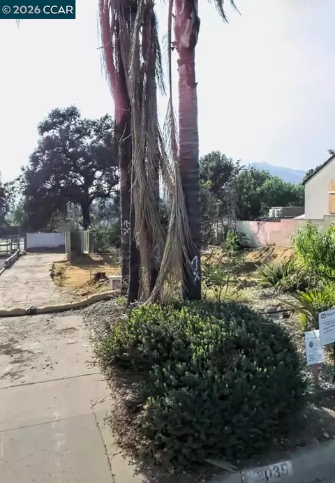 3035 N Olive Ave, Altadena, CA 91001