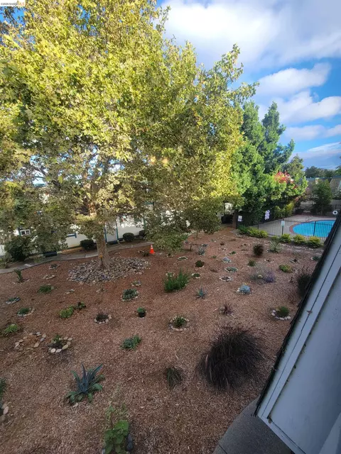 Exterior - 3905 Clayton Rd #12, Concord, CA 94521 photo 7 of 7