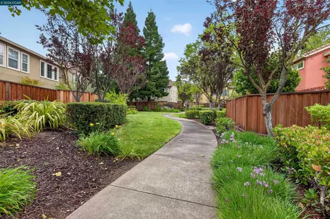 Exterior - 124 Coralflower Ln, San Ramon, CA 94582 photo 14 of 14
