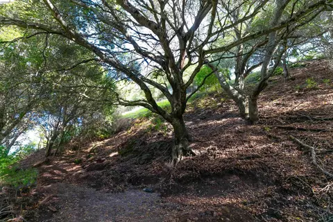 20 Lucille Way, Orinda, CA 94563