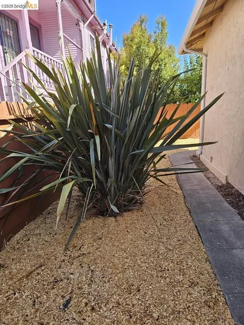 Exterior - 1804 Derby St, Berkeley, CA 94703 photo 9 of 10