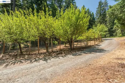 Exterior - 891 Salt Flat Rd, Lewiston, CA 96052 photo 7 of 18