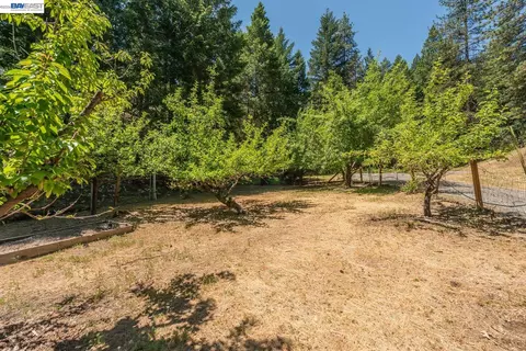 Exterior - 891 Salt Flat Rd, Lewiston, CA 96052 photo 9 of 18