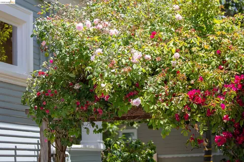 Exterior - 2238 California St, Berkeley, CA 94703 photo 19 of 21
