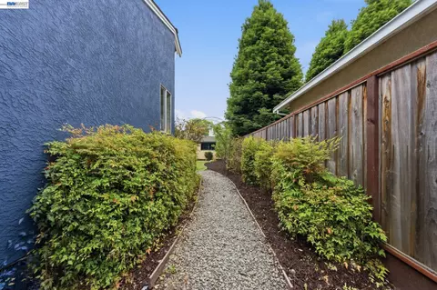 3445 Badding Rd, Castro Valley, CA 94546 photo 32