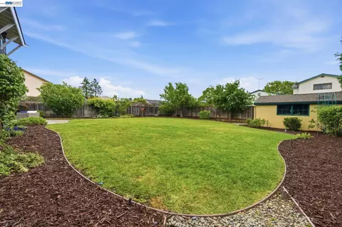 3445 Badding Rd, Castro Valley, CA 94546 photo 15