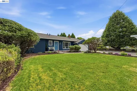 3445 Badding Rd, Castro Valley, CA 94546 photo 31