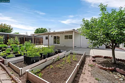 Exterior - 1446 Sunshine Dr, Concord, CA 94520 photo 9 of 10