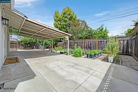 Exterior - 1446 Sunshine Dr, Concord, CA 94520 photo 6 of 10