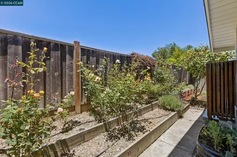 Exterior - 263 Tharp Dr, Moraga, CA 94556 photo 12 of 23