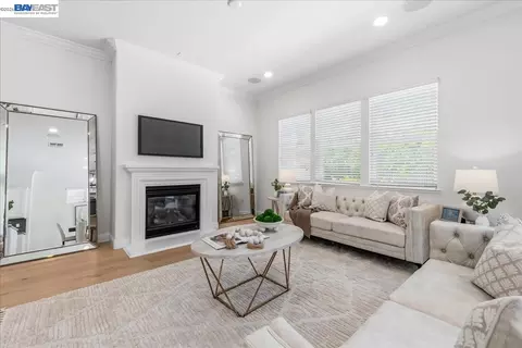 Other - 4519 Spring Mountain Way, Dublin, CA 94568 photo 2 of 14