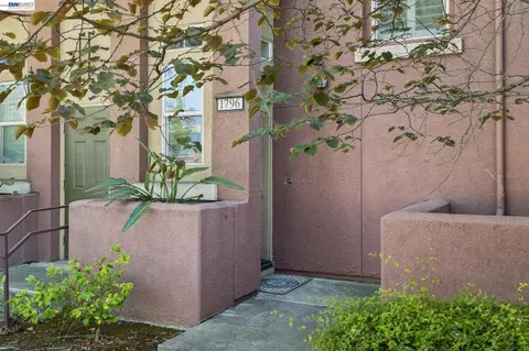 1796 Camino Leonor, San Jose, CA 95131