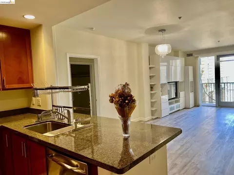 Other - 423 7th St #313, Oakland, CA 94607 photo 8 of 11