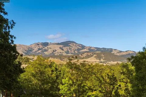 300 Marks Rd, Alamo, CA 94507 photo 15