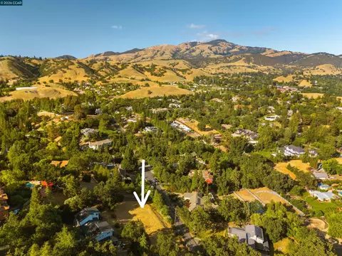300 Marks Rd, Alamo, CA 94507 photo 13