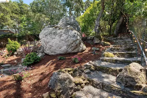 Exterior - 515 Vincente Ave, Berkeley, CA 94707 photo 8 of 17