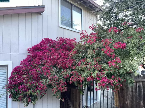 Exterior - 150 Pico Pl, Bay Point, CA 94565 photo 7 of 18