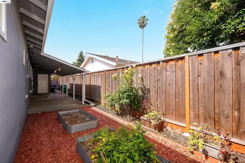 Exterior - 2333 Darwin St, Hayward, CA 94545 photo 12 of 18