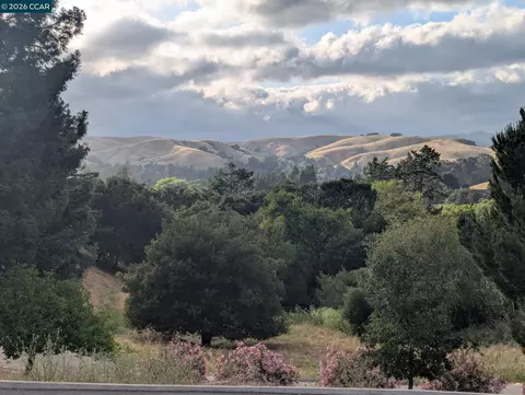 370 Castello, Lafayette, CA 94549 photo 27