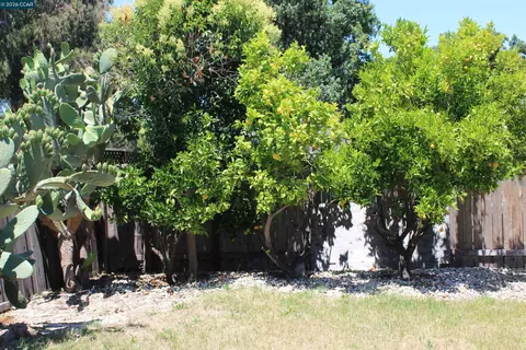 36305 Colbert Pl, Newark, CA 94560 photo 32