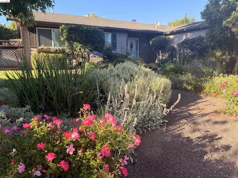 Exterior - 4627 Regina Ln, Concord, CA 94521 photo 2 of 5