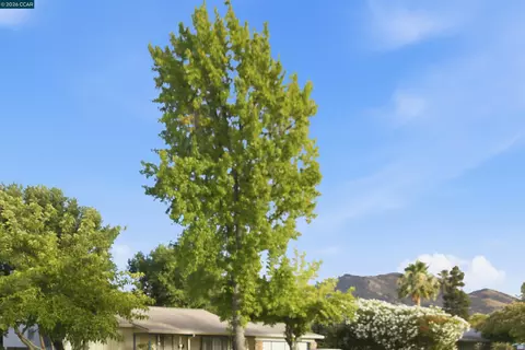 1412 Delaware Dr, Concord, CA 94521 photo 31