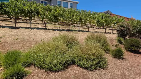 1813 Holsteiner Dr, Fairfield, CA 94534 photo 16
