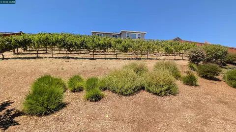 1813 Holsteiner Dr, Fairfield, CA 94534 photo 17