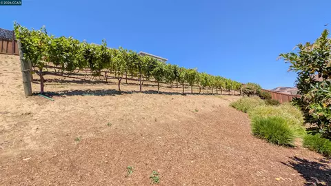 1813 Holsteiner Dr, Fairfield, CA 94534 photo 19