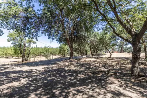 3515 Kellogg Creek Rd, Byron, CA 94514 photo 3