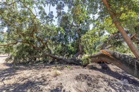 3515 Kellogg Creek Rd, Byron, CA 94514 photo 15