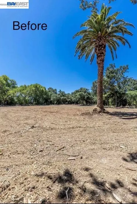 3515 Kellogg Creek Rd, Byron, CA 94514 photo 6