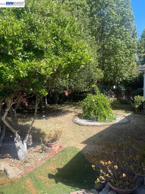 Exterior - 656 Juana Ave, San Leandro, CA 94577 photo 4 of 4