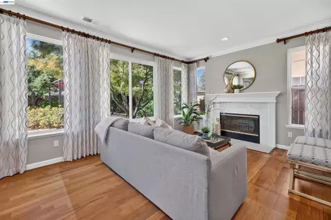 Living - 271 Kelley Mist Ct, Tracy, CA 95377 photo 3 of 4