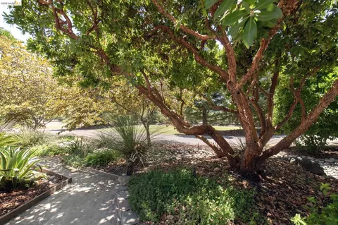 Exterior - 5232 Horseshoe Bend Ave, Clovis, CA 93619 photo 12 of 24
