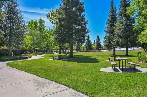 Other - 219 Viewpoint Dr, Danville, CA 94506 photo 10 of 16