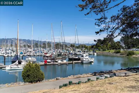 1538 Russell St, Berkeley, CA 94703 photo 65