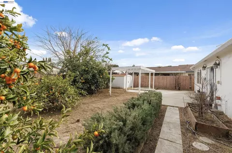 Exterior - 15940 Warfield Rd, Lathrop, CA 95330 photo 3 of 3
