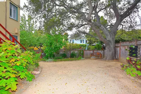 Other - 1301 Bonita #3, Berkeley, CA 94709 photo 48 of 51