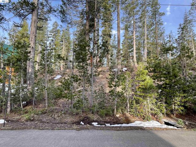 7217 Palisade Rd, Soda Springs, CA 95728
