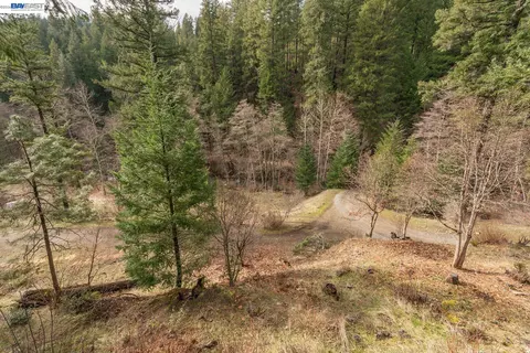 Exterior - 540 Lost Brg, Lewiston, CA 96052 photo 4 of 18